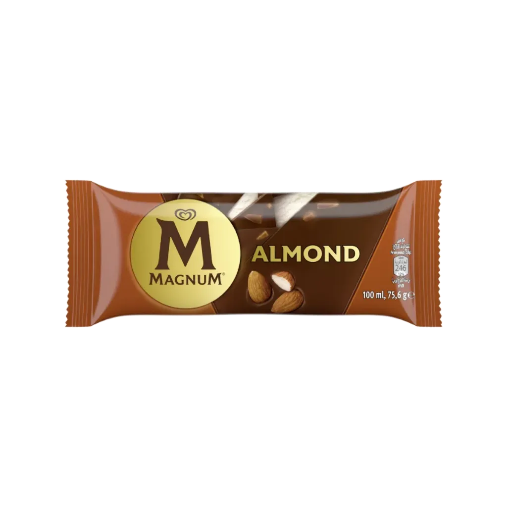 MAGNUM ICE CREAM 100ML