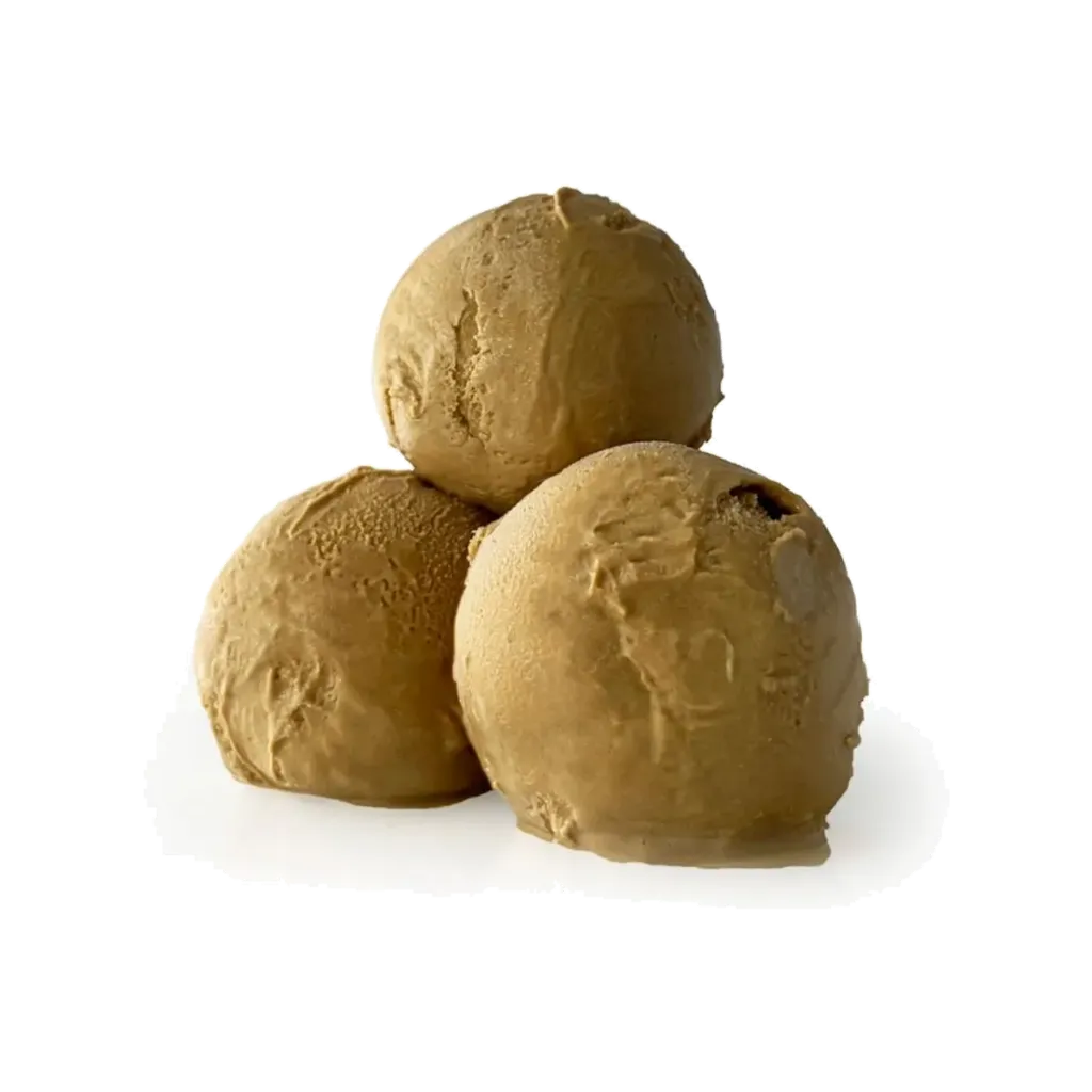 PRIMOGELATO ICE CREAM 2L