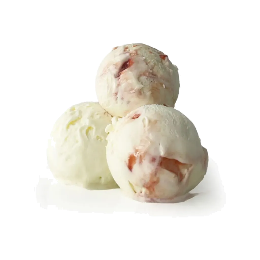 PRIMOGELATO ICE CREAM 2L