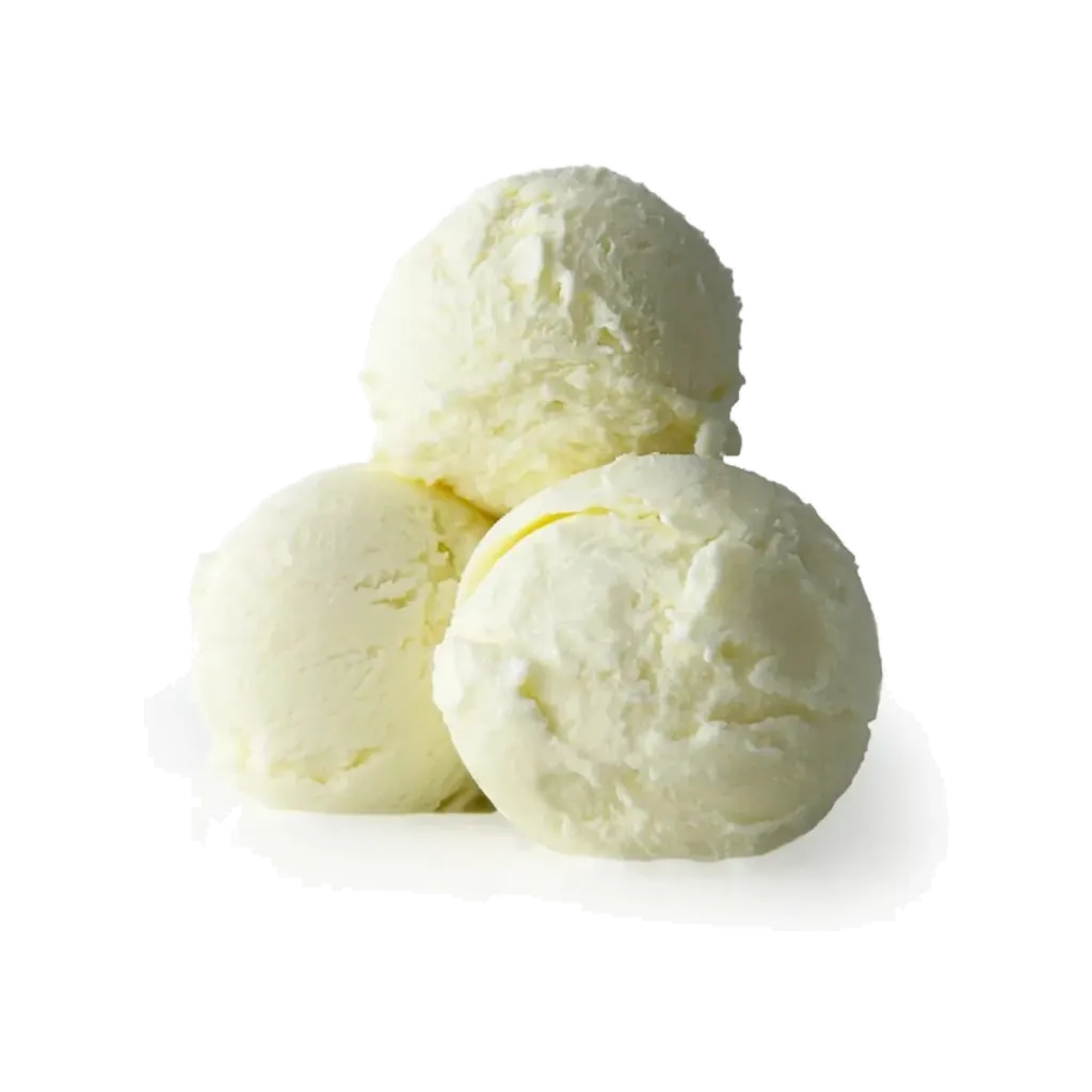 PRIMOGELATO ICE CREAM 2L