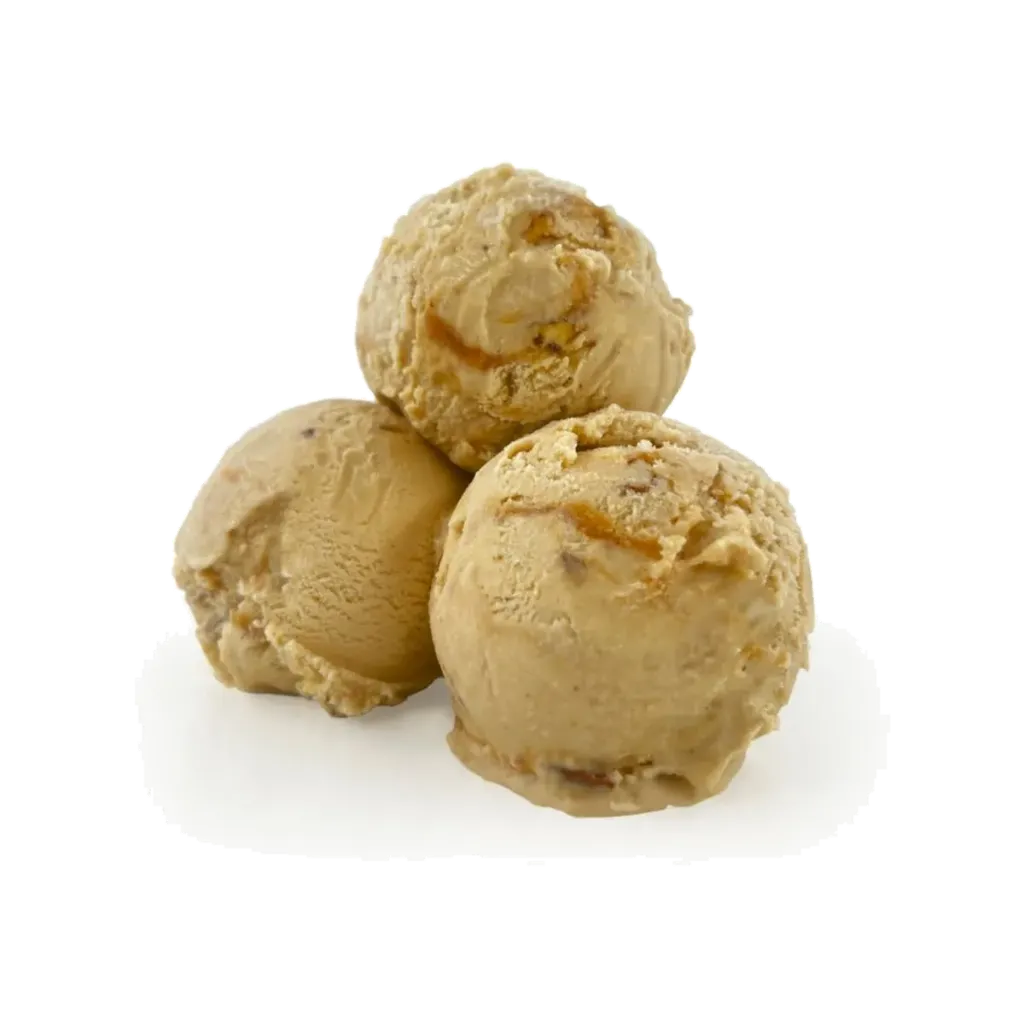 PRIMOGELATO ICE CREAM 2L