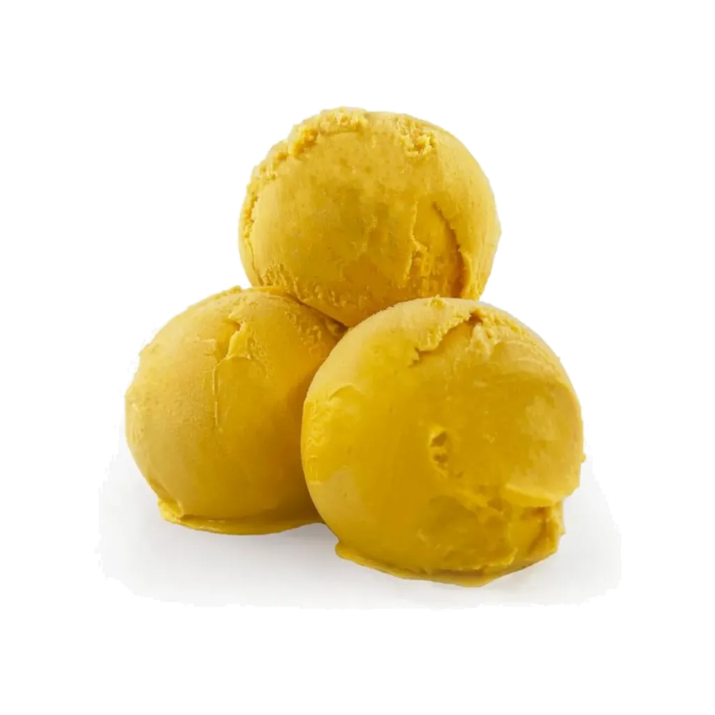 PRIMOGELATO ICE CREAM 2L