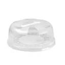 Snips-Delice-Cake Carrier-28x9cm