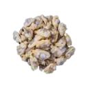 GSF IQF MUSSEL MEAT 2KG