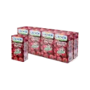 LACNOR TOMATO PASTE 24X135G